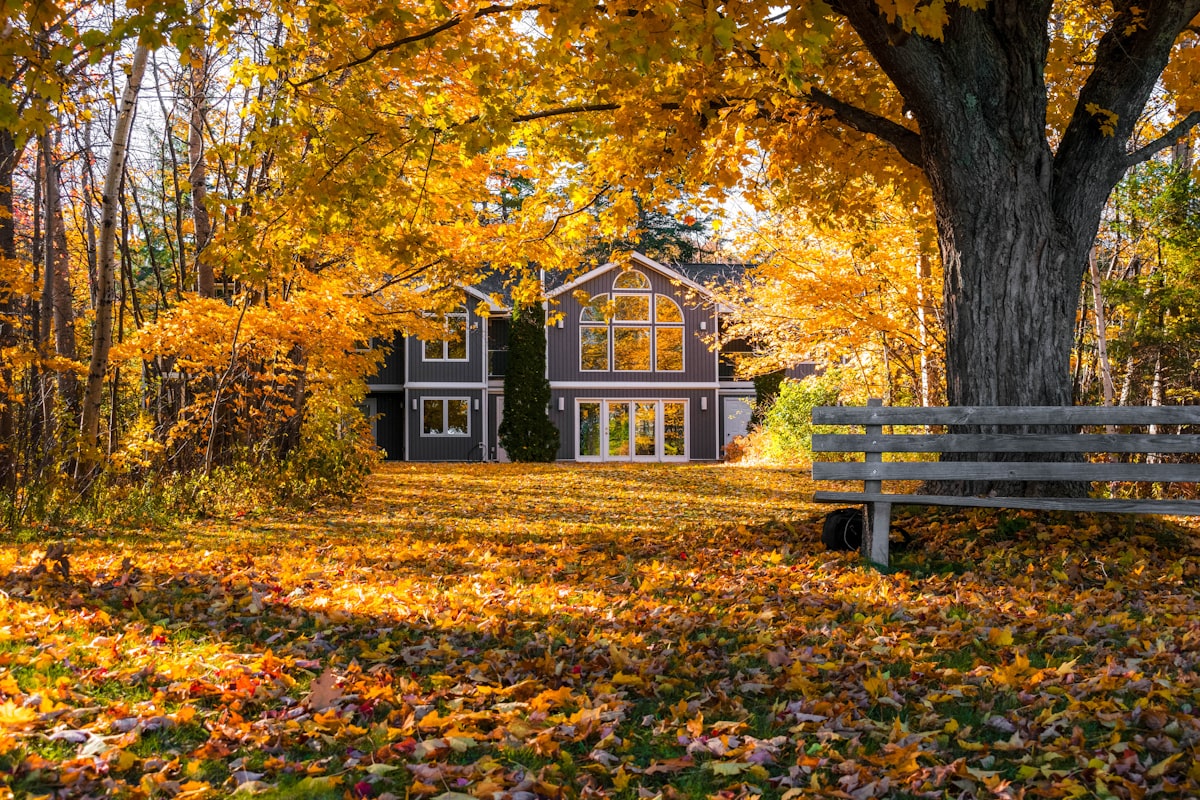 Great Lakes Home Renovations: Enhancing Beauty and Structural Integrity